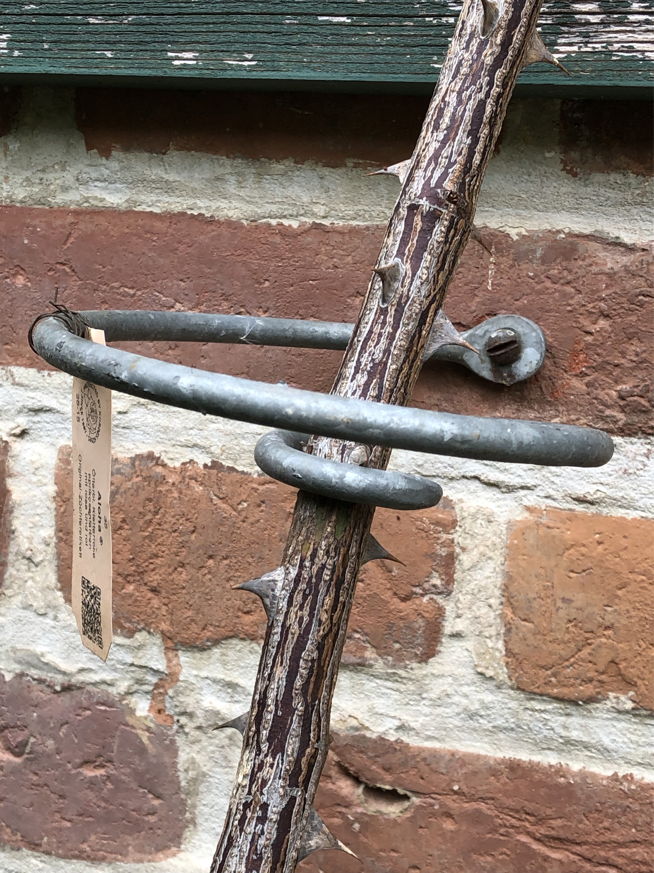 Rankhilfe-Rosenlocke-an-Backsteinhaus-und-Fachwerkhaus-19