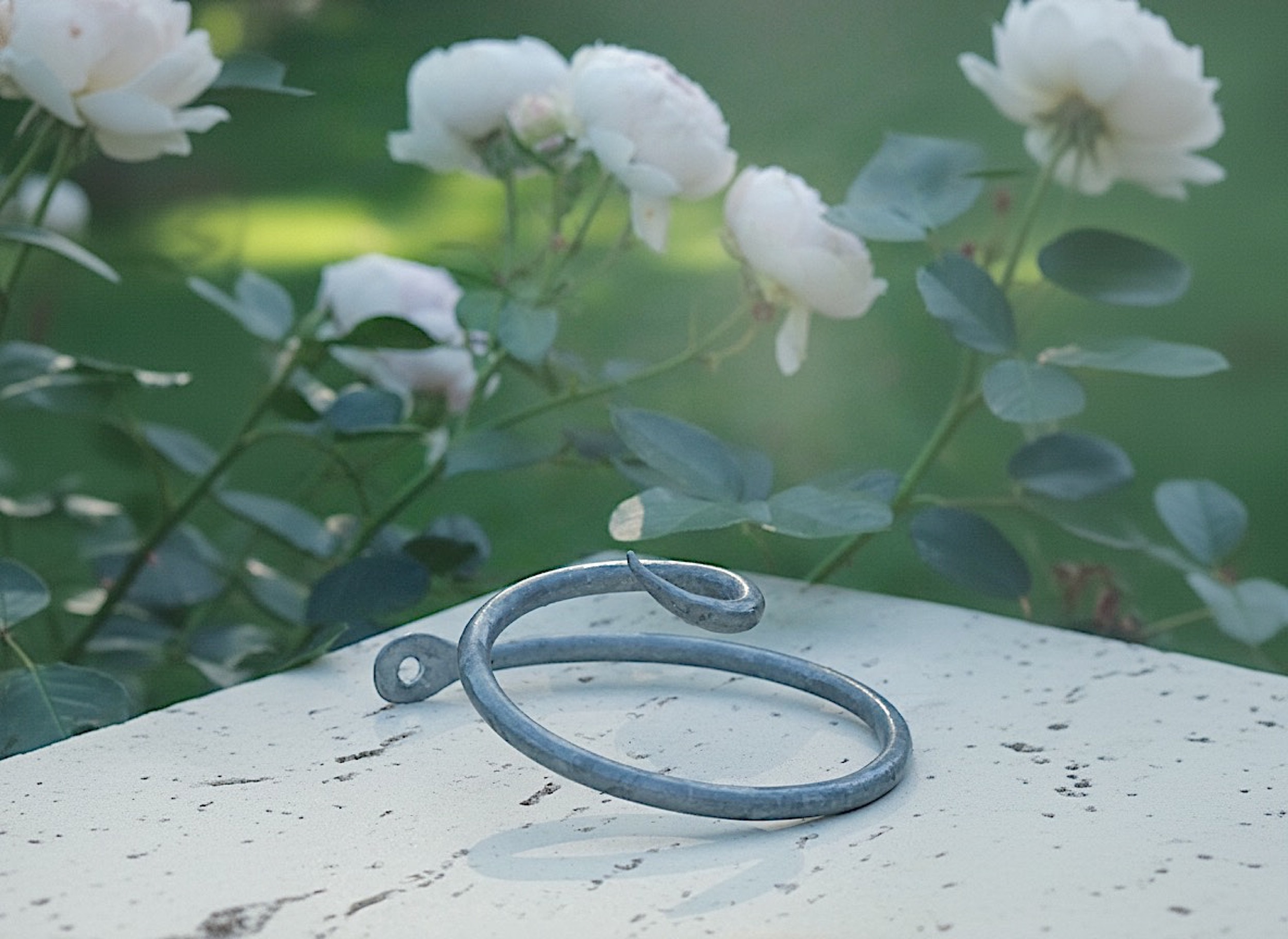Rosenlocke Rankhilfe vor blühenden weißen Rosen