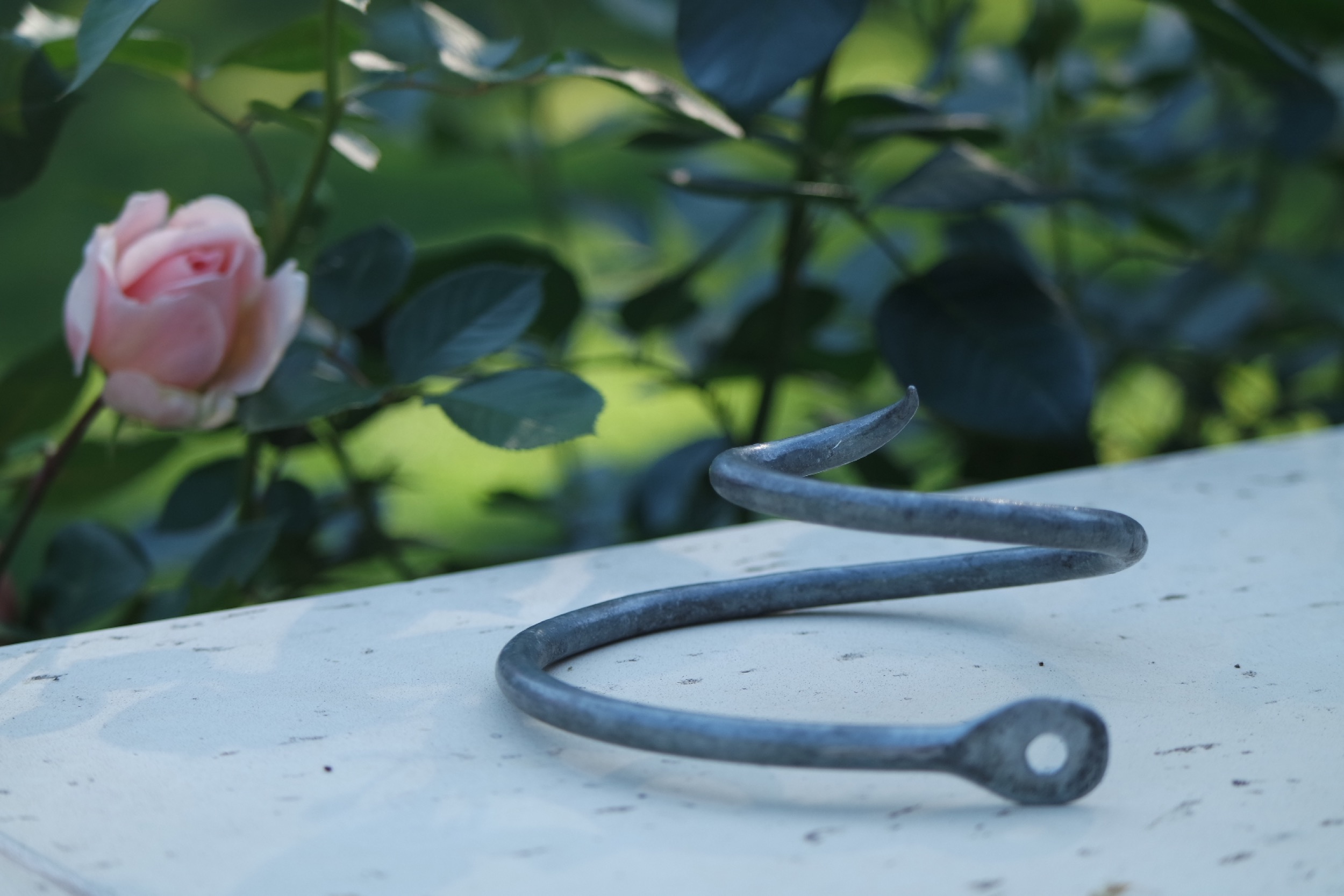 Rosenlocke Neue Bilder Rankhilfe fuer Rosen Clara Waldburg 31