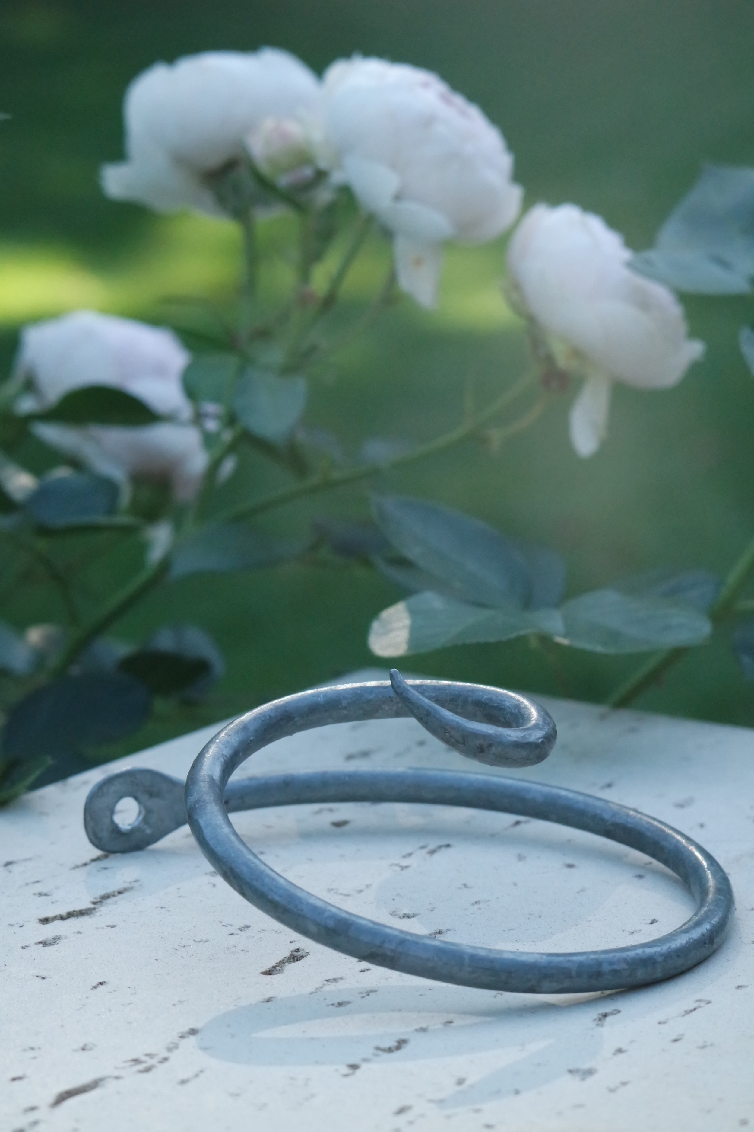 Rosenlocke-Neue-Bilder-Rankhilfe-fuer-Rosen-Clara-Waldburg-34
