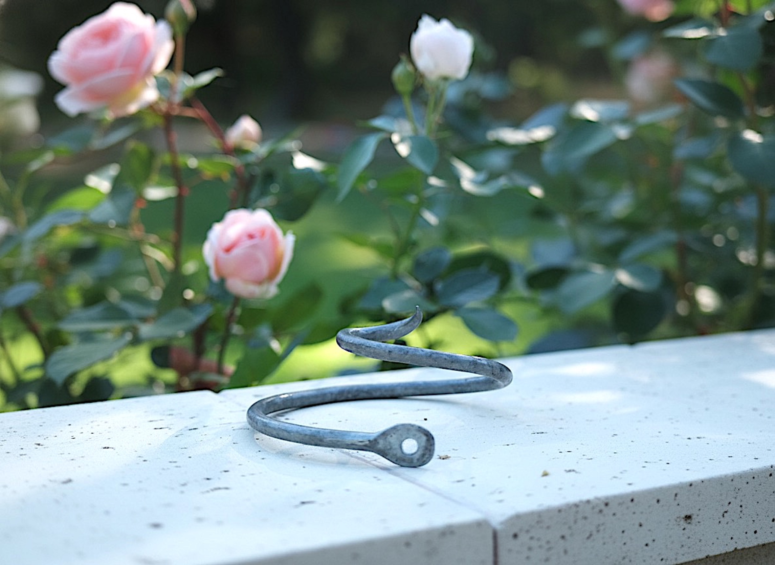 Rosenlocke Neue Bilder Rankhilfe fuer Rosen Clara Waldburg 37