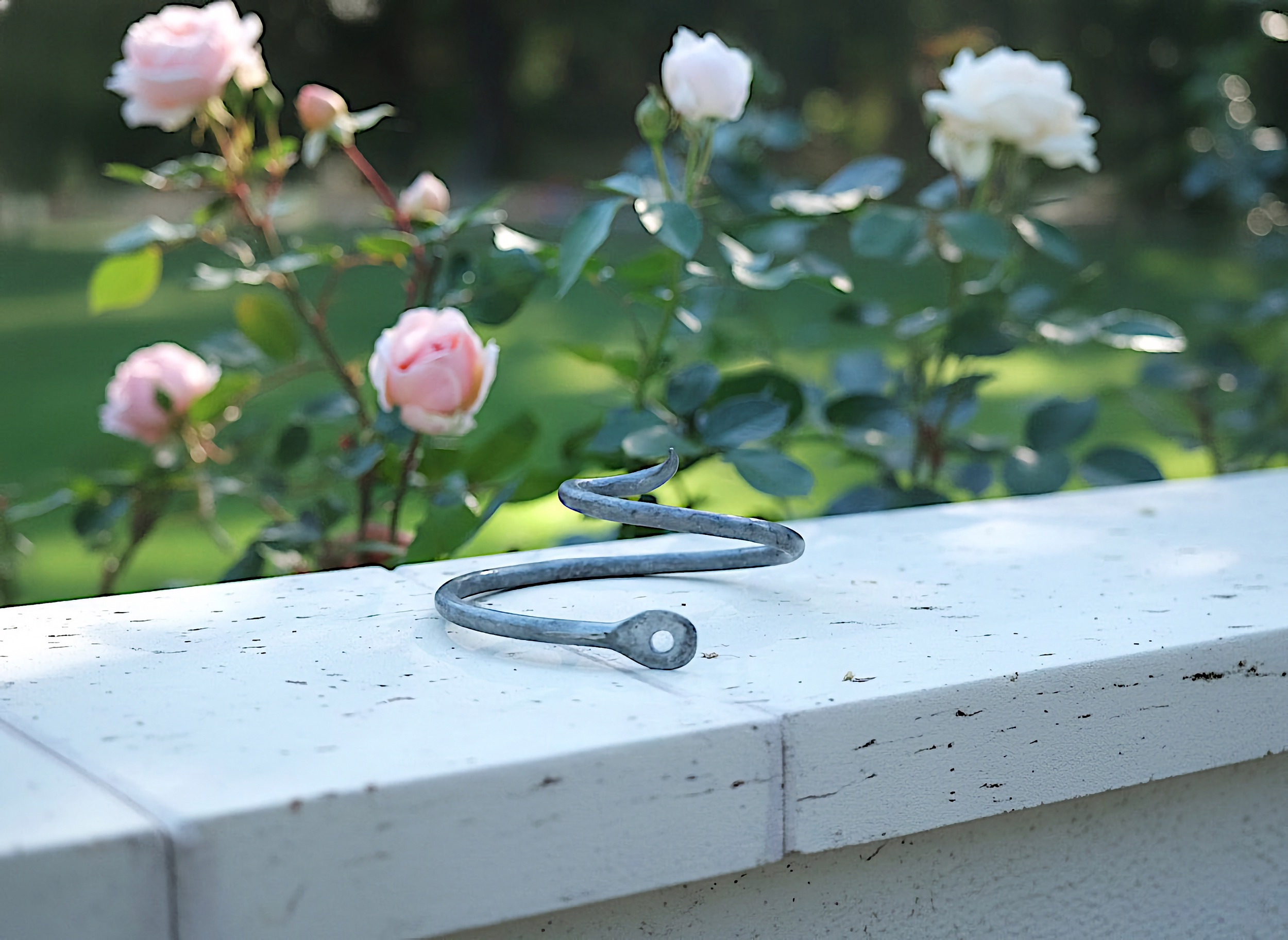 Rosenlocke Neue Bilder Rankhilfe fuer Rosen Clara Waldburg 38