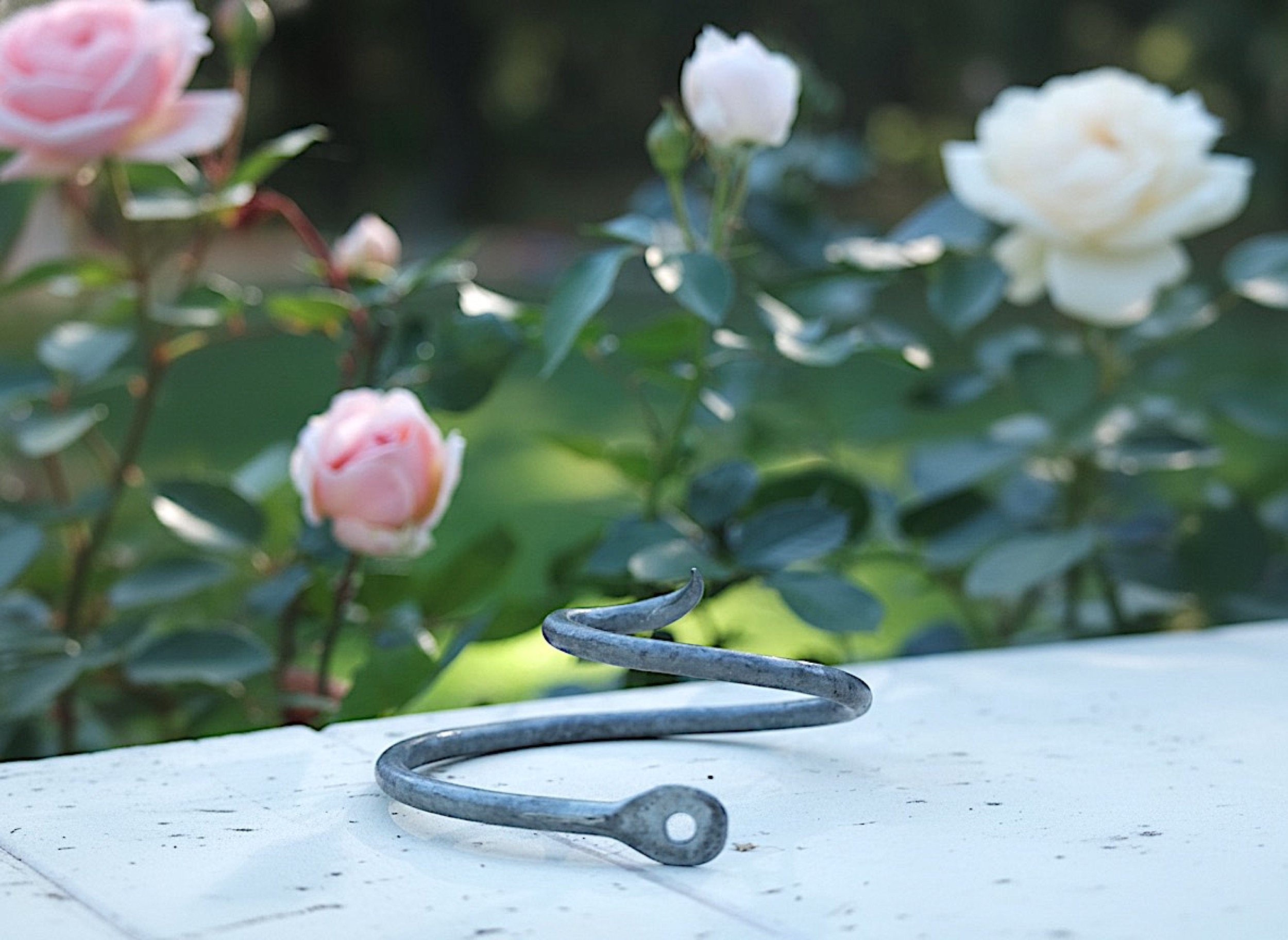Rosenlocke Neue Bilder Rankhilfe fuer Rosen Clara Waldburg 4